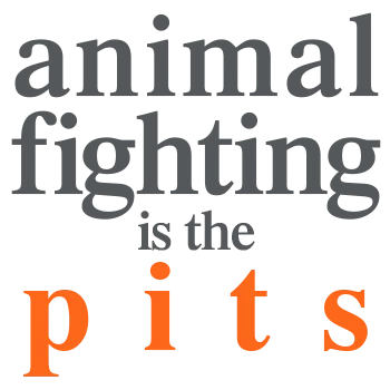 Animal Fighting is the Pits